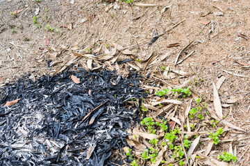 Traces of burning leaves on the ground