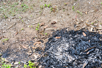 Traces of burning leaves on the ground