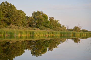 symmetrical reflection trees, grass, sky in pond