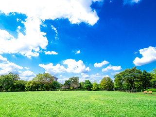 青空と緑の公園