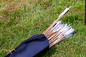 A quiver of arrows lying on the grass.