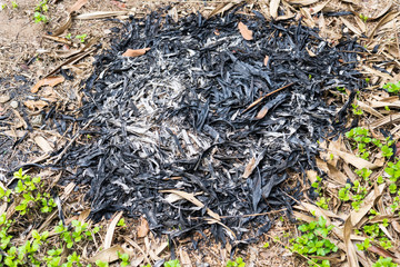 Traces of burning leaves on the ground