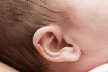 Fototapeta premium Close-up of newborn baby ear