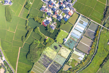 Fototapeta premium farm