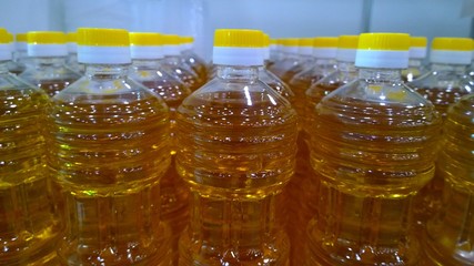 Rows of bottles of sunflower or olive oil. Fresh natural farm products for delivery to a supermarket, local market or fair. Organic food background. Rich autumn harvest. High quality.