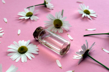 bottle with chamomile oil on a pink background