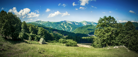 Panoramic view of idyllic mountain scenery with fresh green meadows