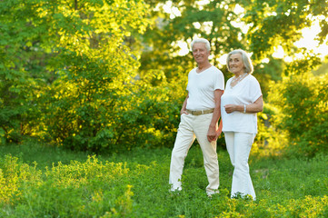 Fototapeta premium beautiful caucasian senior couple in the park
