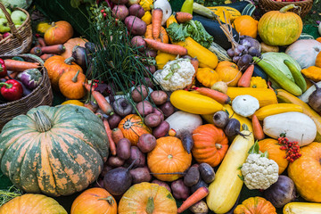 Fresh autumn harvest vegetables lying in a bunch