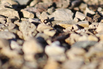 Close-Up Rocks