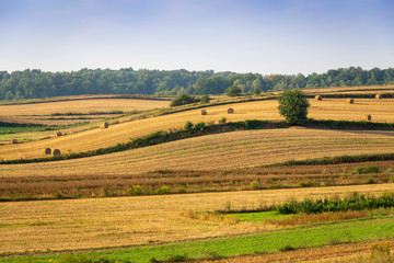 Rolling hills in Roztocze region