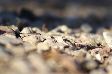 Close-Up Rocks