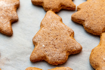Christmas New Year traditional homemade cookies biscuit stars and spruce shape preparation process