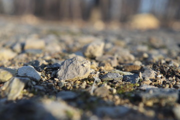 Rocks