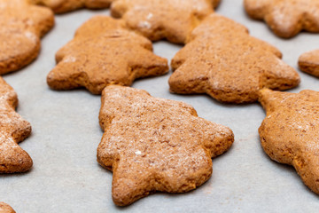 Christmas New Year traditional homemade cookies biscuit stars and spruce shape preparation process