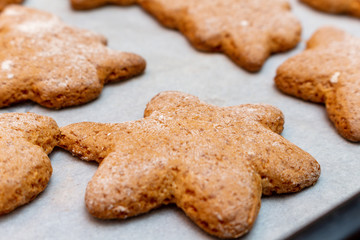 Christmas New Year traditional homemade cookies biscuit stars and spruce shape preparation process