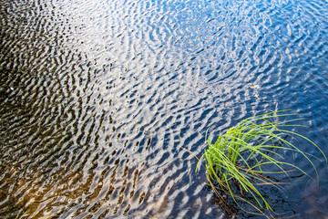 abstract water background
