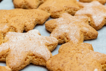 Christmas New Year traditional homemade cookies biscuit stars and spruce shape preparation process