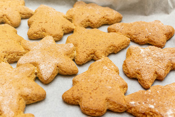 Christmas New Year traditional homemade cookies biscuit stars and spruce shape preparation process