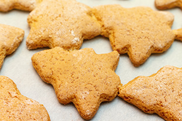 Christmas New Year traditional homemade cookies biscuit stars and spruce shape preparation process