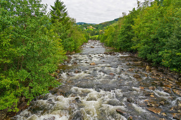 Obraz premium Mountain river stream with green fir trees forested shore, Rosendal village, Norway