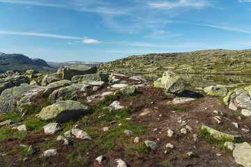 Fototapeta na wymiar Mountain tundra green landscape, Norway. Way to Trolltunga rock.