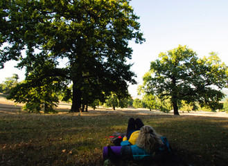 Naklejka na ściany i meble Nature landscape with oak trees and woman lying on grass