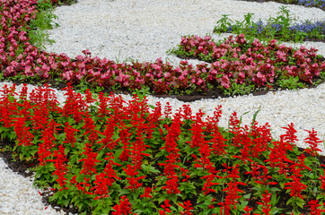 A bed of red and white flowers.
