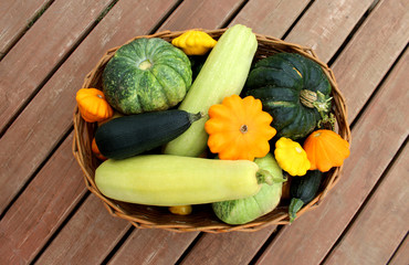 basket with fresh harvested vegetables harvested in autumn