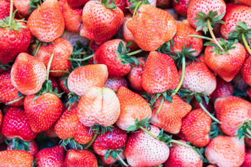 background from freshly harvested Thai strawberries type 80