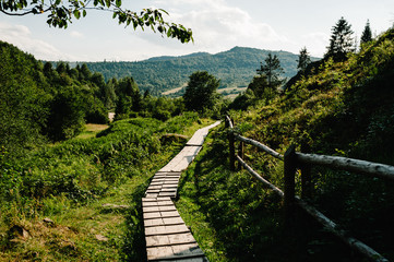 Fototapeta na wymiar The wooden path in the forest leads to the big mountains. journey ahead. quiet lane. Wood plank walkway through woods. Place for text.