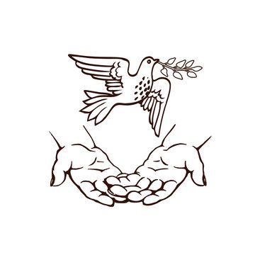 hand-drawn sketch. Hands releasing or meeting a white dove with a sprig in its beak