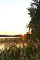 Sun is almost set. Last sunbeams. Autumn sunset in Puolanka Finland. Lake, grass and forest.