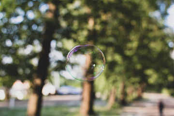 Coloured translucent soap bubble floating outdoors in the air on sunny evening with trees and sky in the background. Nature background with soap bubbles closeup. Soft dreamy image.