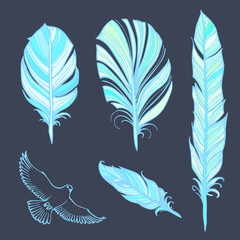 Set of vector blue feathers with a bird on a dark blue background