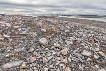 Tundra Landscape on Victoria Islands