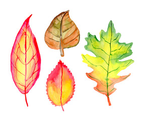Watercolor autumn leaves set isolated on white background. Orange and red fall leaf. Hand painted illustration. 