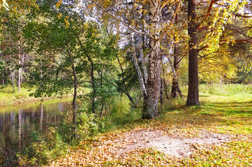 Naklejka premium Autumn landscape on the banks of a forest river on a sunny warm day.