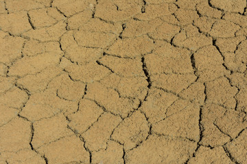 Dry Cracked Mud Flats of Spanish Lagoon in Aruba