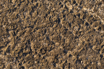 Rock plate. Colored stone surface. Wall of the house. Geology and Metamorphic rocks.