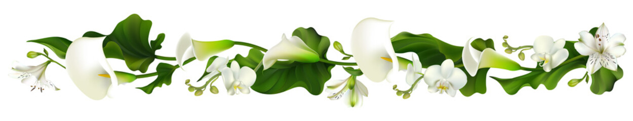 Flowers. Floral background. Orchids. Calla. White. Green leaves. Horizontal pattern. Lilies.
