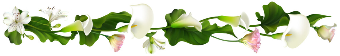 Flowers. Floral background. Eustoma. Calla. White. Border. Green leaves. Horizontal pattern. Lilies.