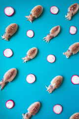Pattern of raw chopitos or ittle cuttlefish and radish on blue background.