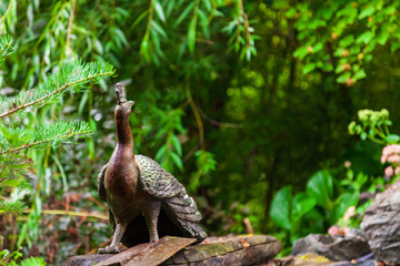 A stone statue in the form of a sacred animal peacock in India and Hinduism sitting on a stone with his head turned in the opposite direction against a background of green leaves.