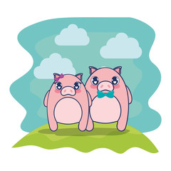 cute pigs couple characters vector illustration
