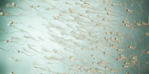 3d rendered illustration of human sperm