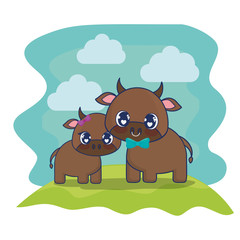 cute cows couple characters vector illustration