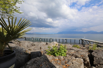 Storm is coming on the lake with a pontoon and a small palm tree