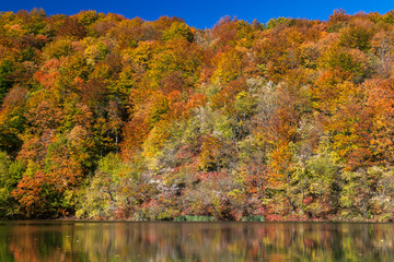 Obraz premium Autumn on Plitvice Lakes, Croatia