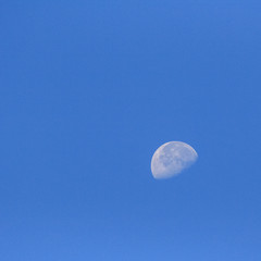 Lune © Terres de Photos